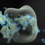 A nuvem molecular foi detectada a 300 anos-luz da Terra, mais perto do que qualquer outra nuvem similar formadora de estrelas • Thomas Müller (HdA/MPIA)/Thavisha Dharmawardena (NYU) via CNN Newsource